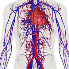 Nuclear Medicine